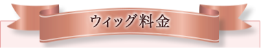 ウィッグ料金