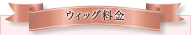 ウィッグ料金