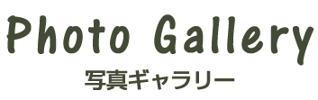 写真ギャラリー