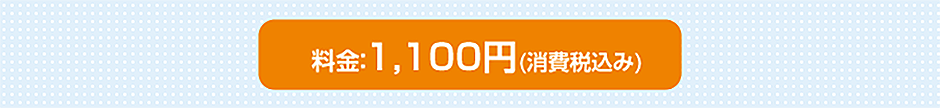 料金：1,000円(消費税込み)