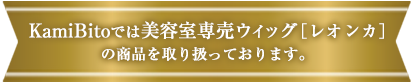 髪人では美容室専売ウィッグ［レオンカ］の商品を取り扱っております。