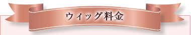 ウィッグ料金