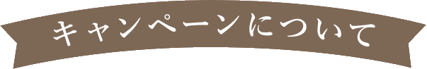 キャンペーンについて